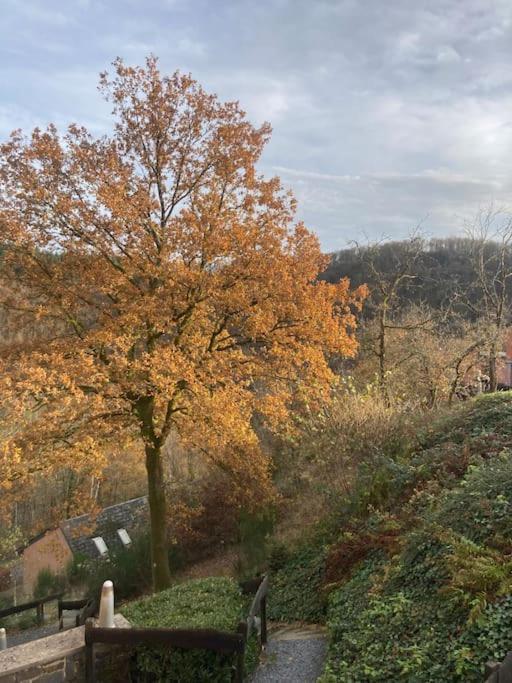 Le Lit De La Semois Apartment Vresse-sur-Semois Bagian luar foto