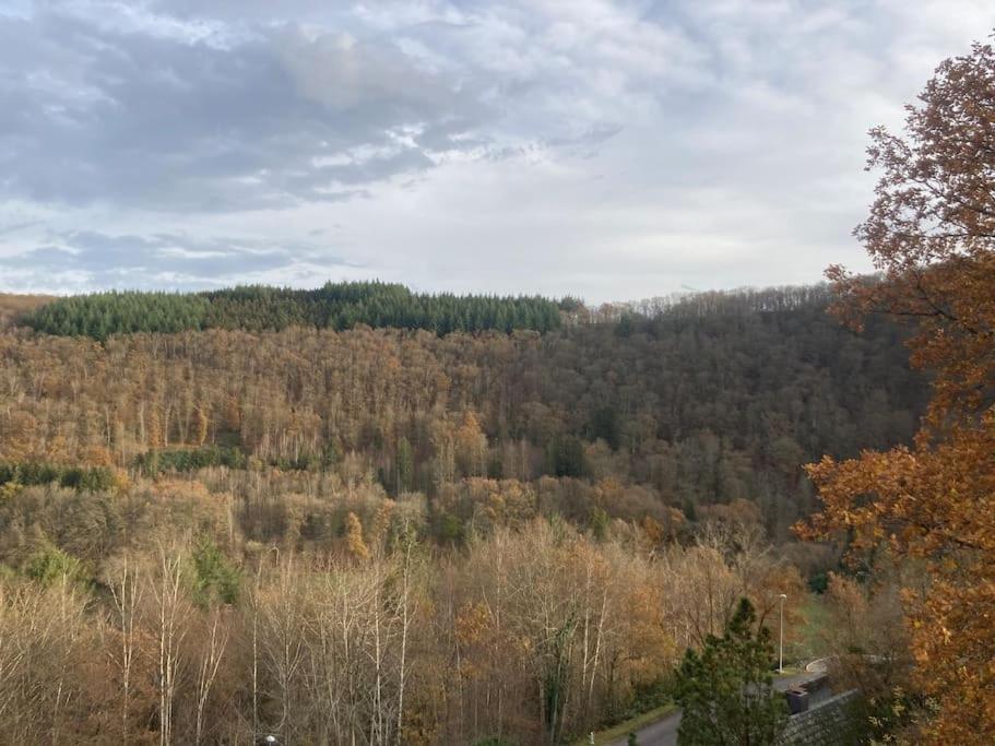 Le Lit De La Semois Apartment Vresse-sur-Semois Bagian luar foto